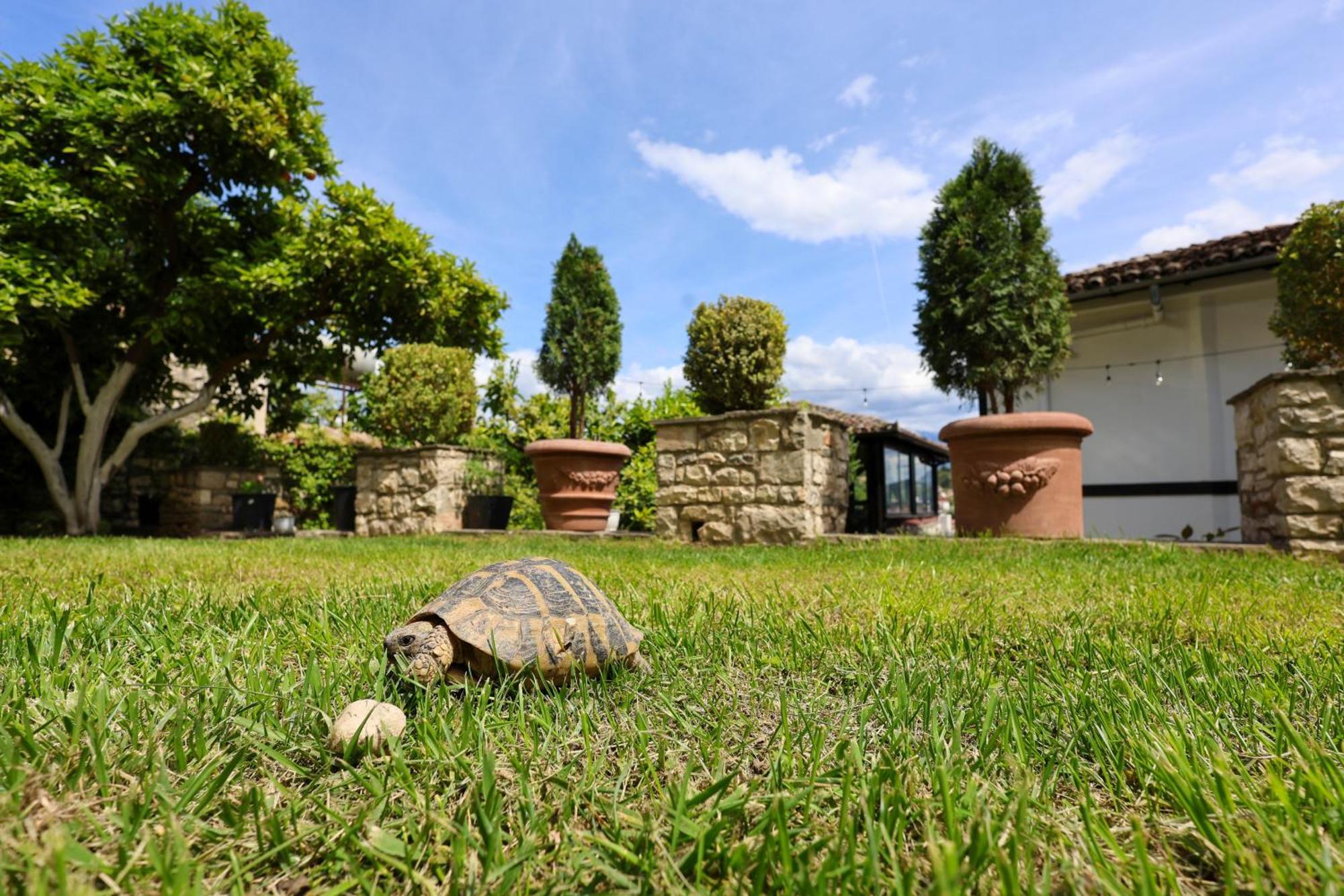 Villa ELMAR Berat Esterno foto